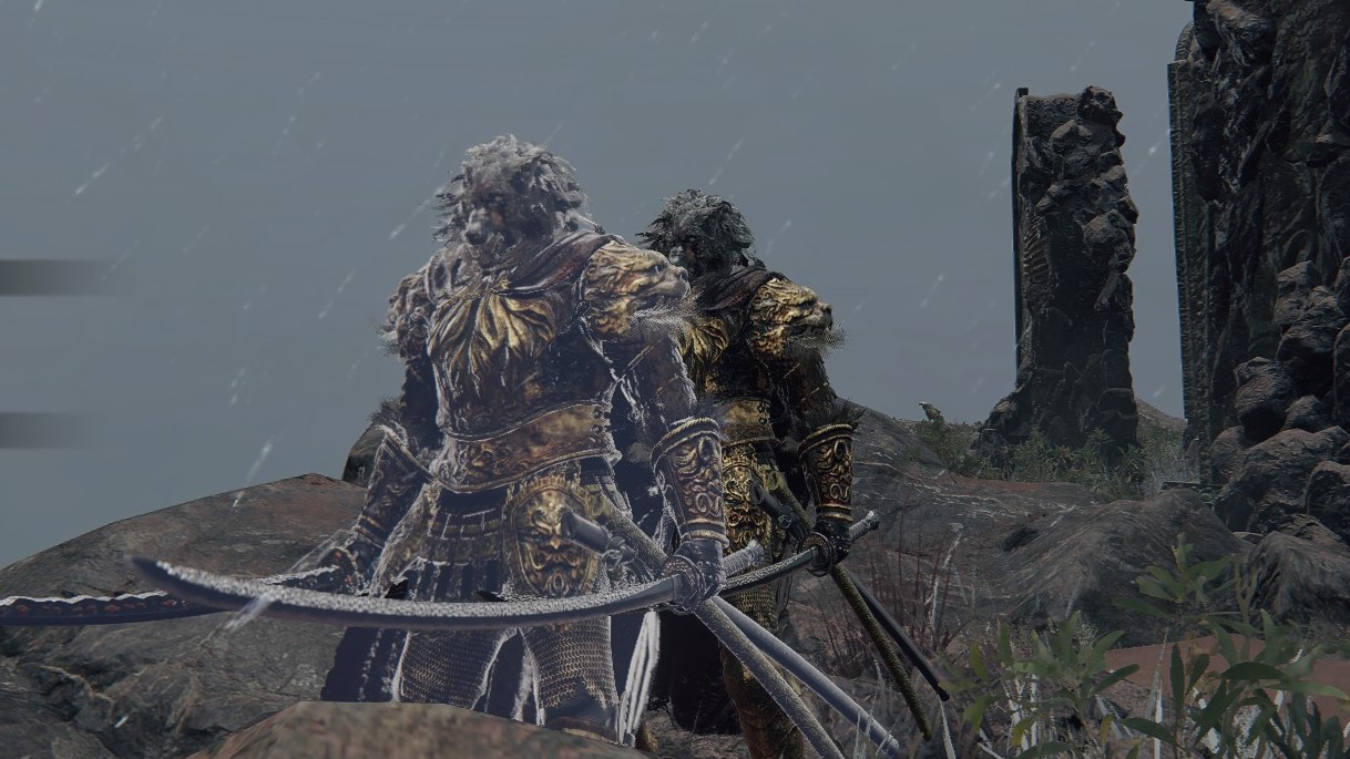 Elden Ring – Guide to the Ashes of Summoning Reflected Tear