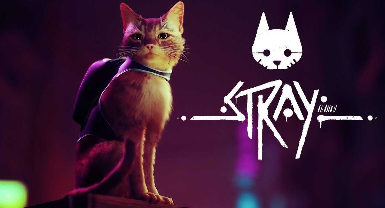 Stray: all the codes of the doors and safes