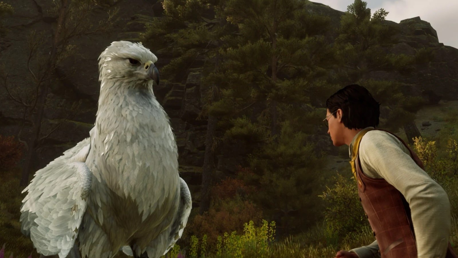 Hogwarts Legacy – Complete guide to the Vivarium, the Beasts and how they work
