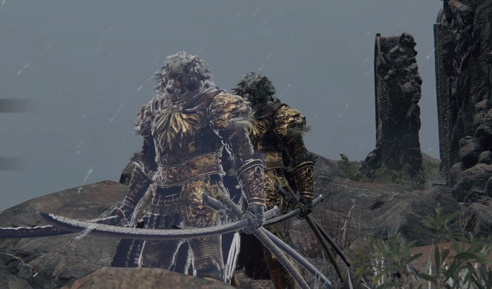 Elden RIng leads reflected tear