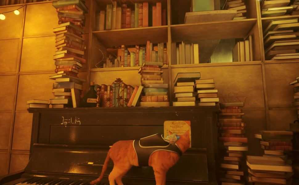 Stray: where to find all the scores