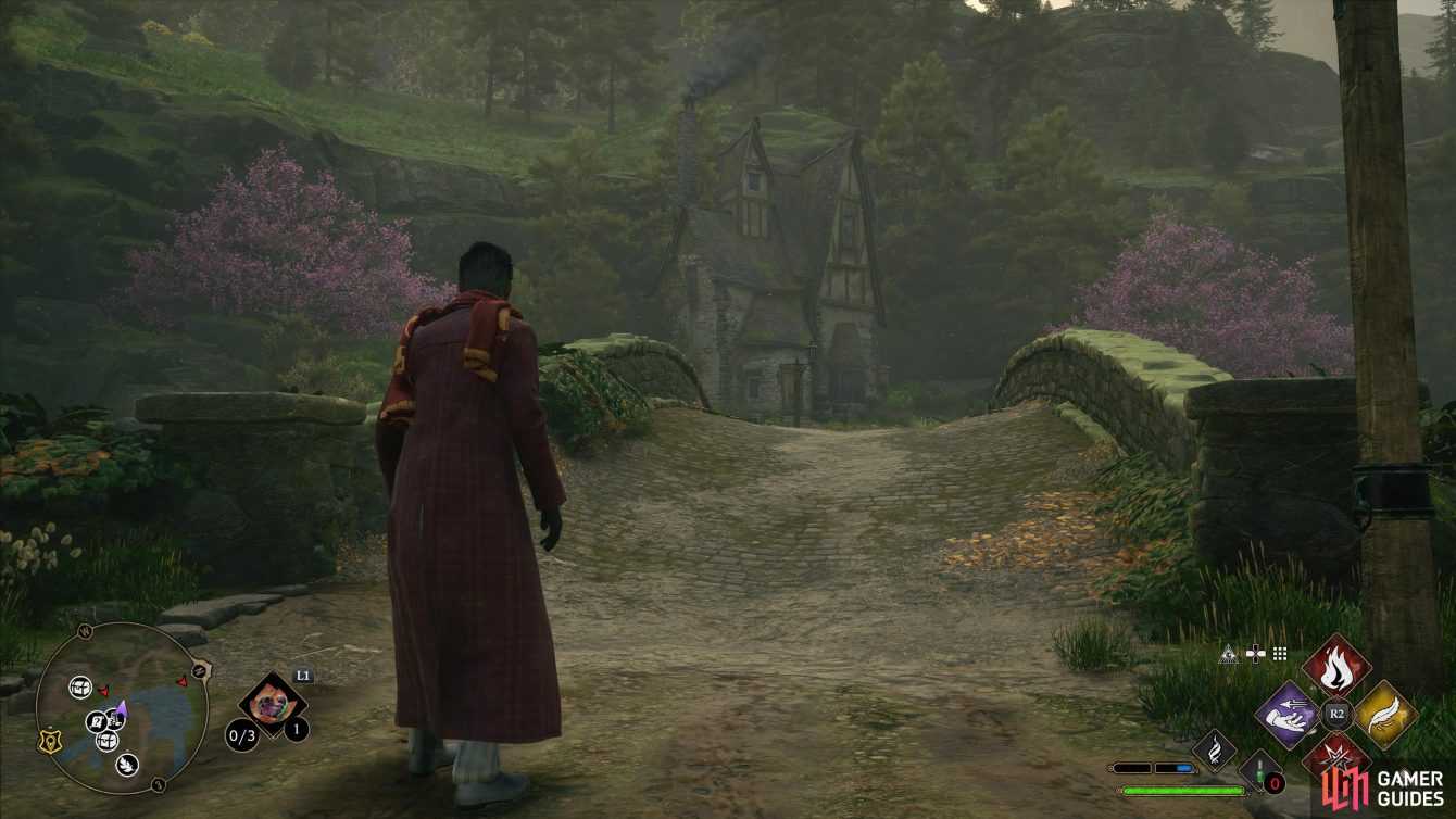 Hogwarts Legacy: the location of the Demiguise statues, here's how to find them!