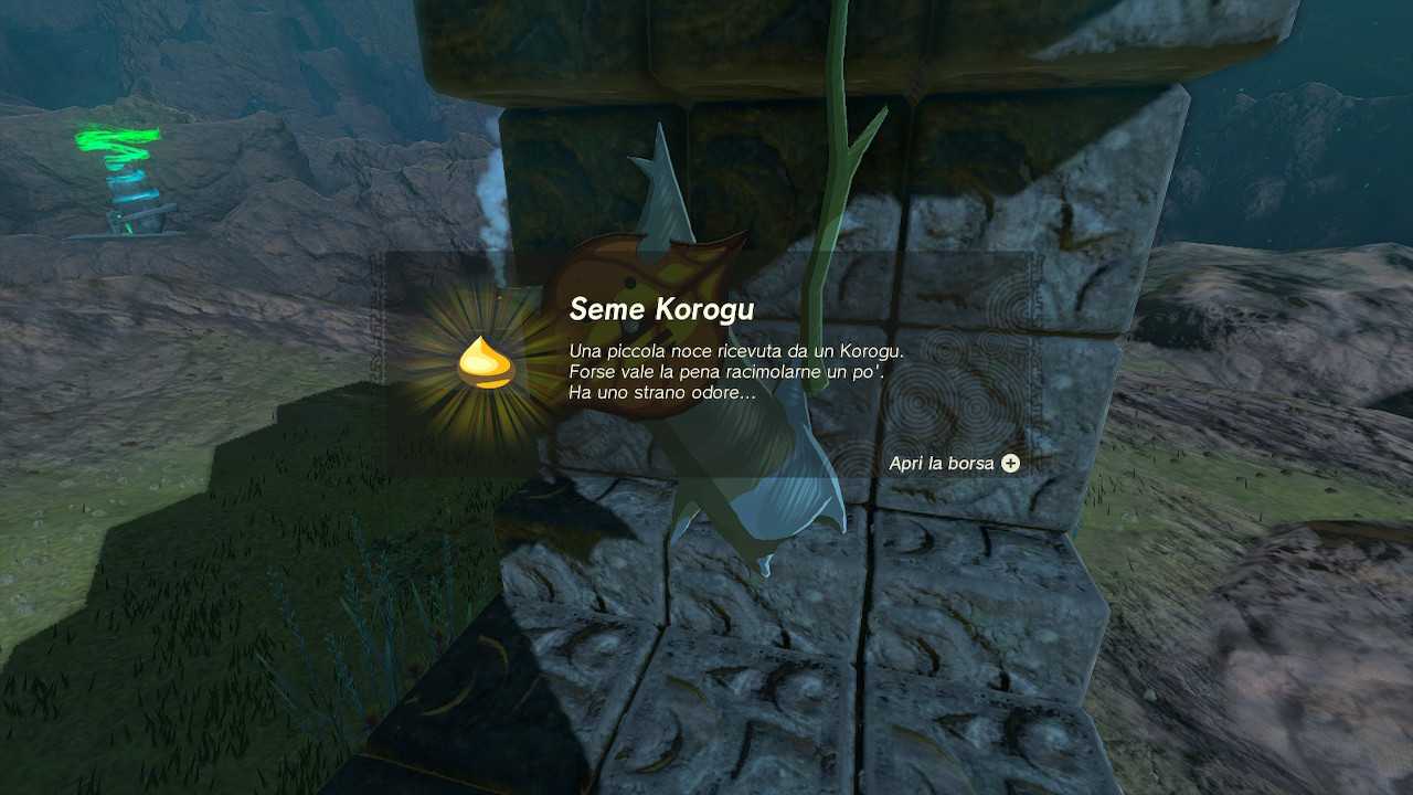 The Legend of Zelda: Tears of the Kingdom, how to increase inventory space